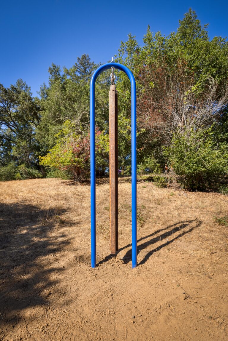Blue Slug 1