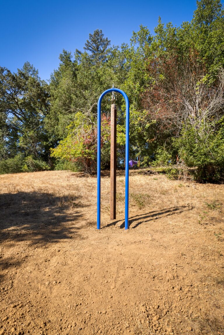 Blue Slug