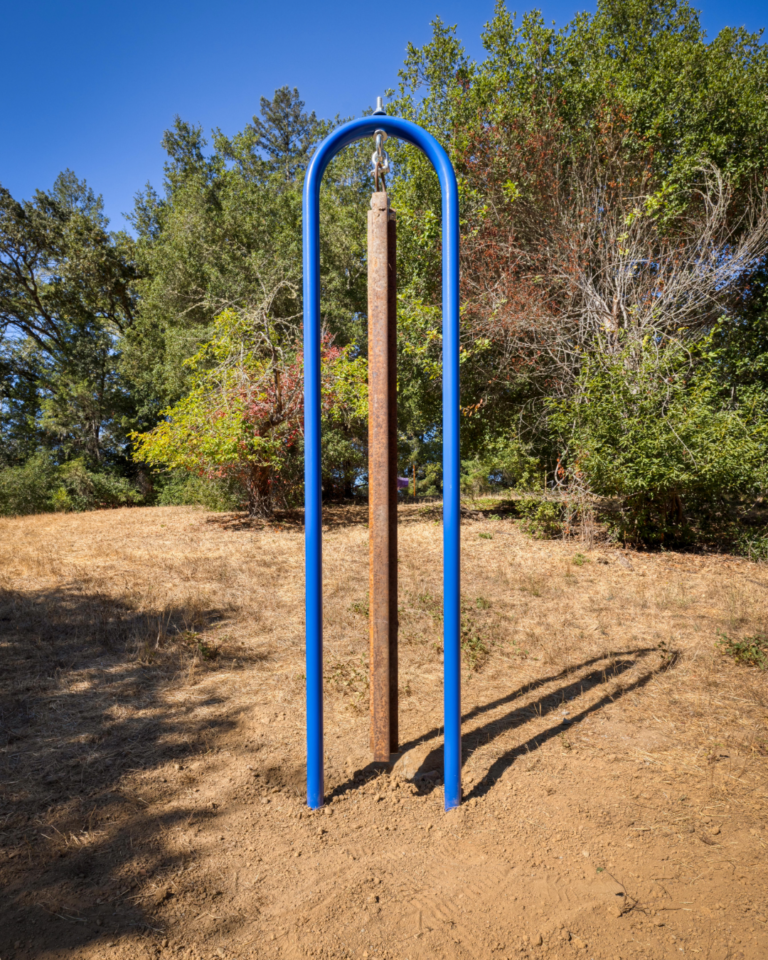 Blue Slug
