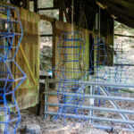 Barnstomer