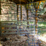 Barnstomer