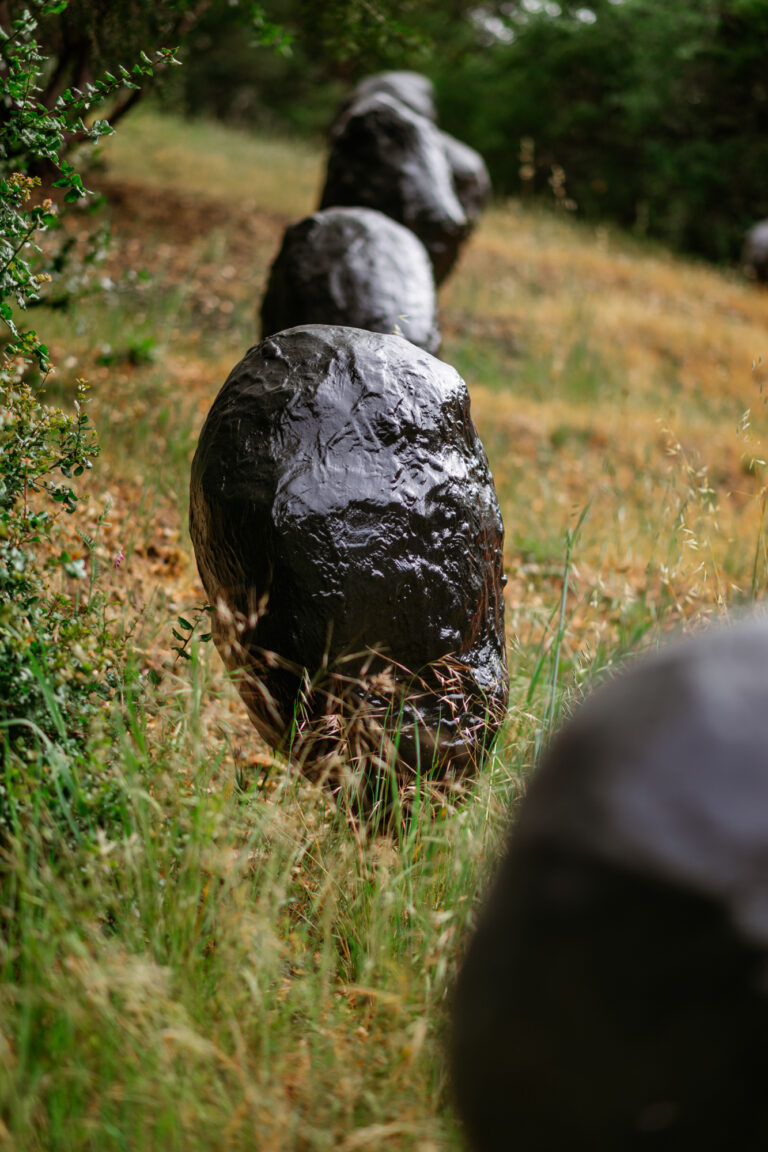 BoulderField