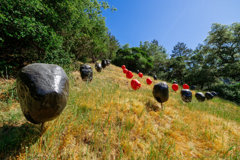 BoulderField