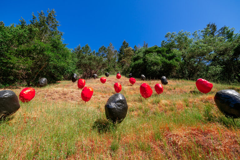BoulderField