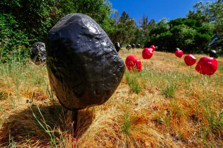 BoulderField