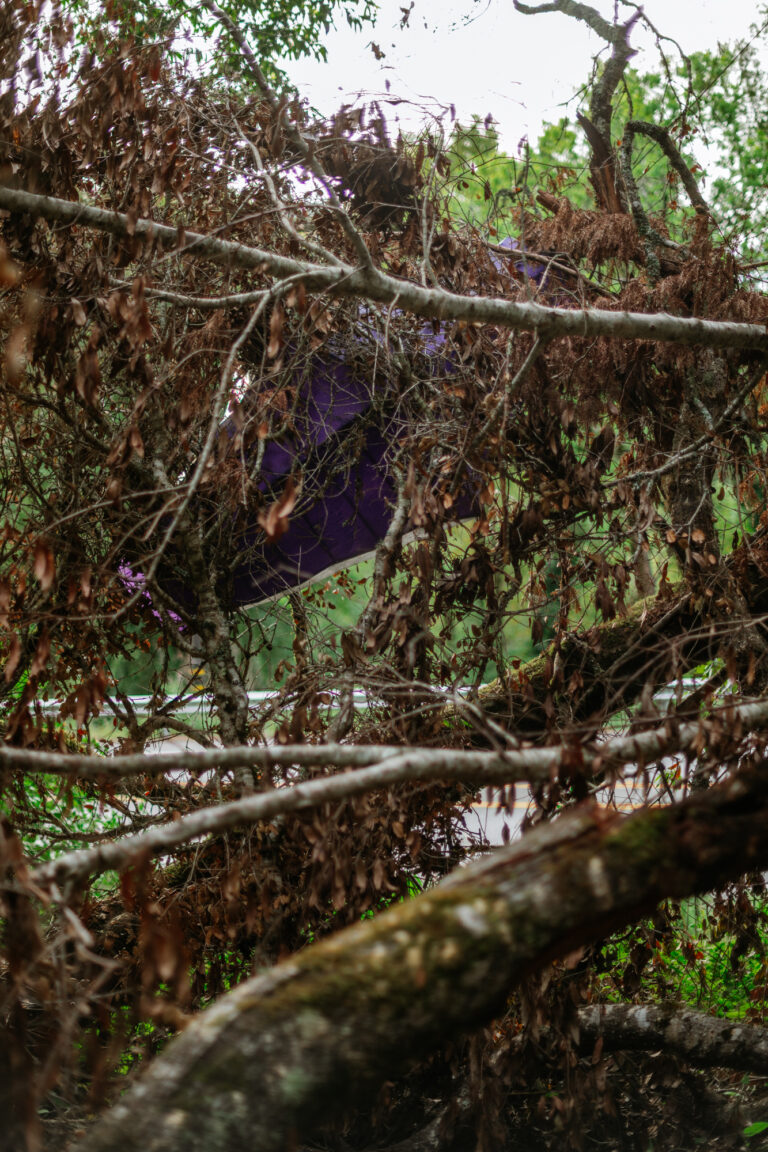 PurplePisser