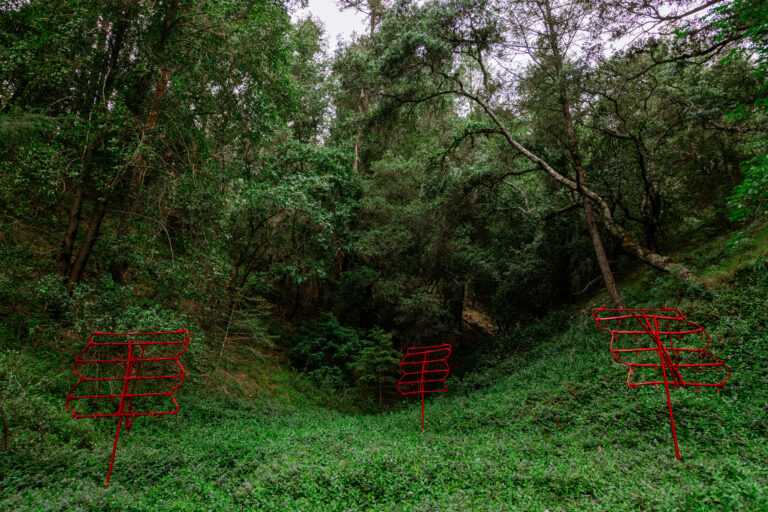 RedDragger
