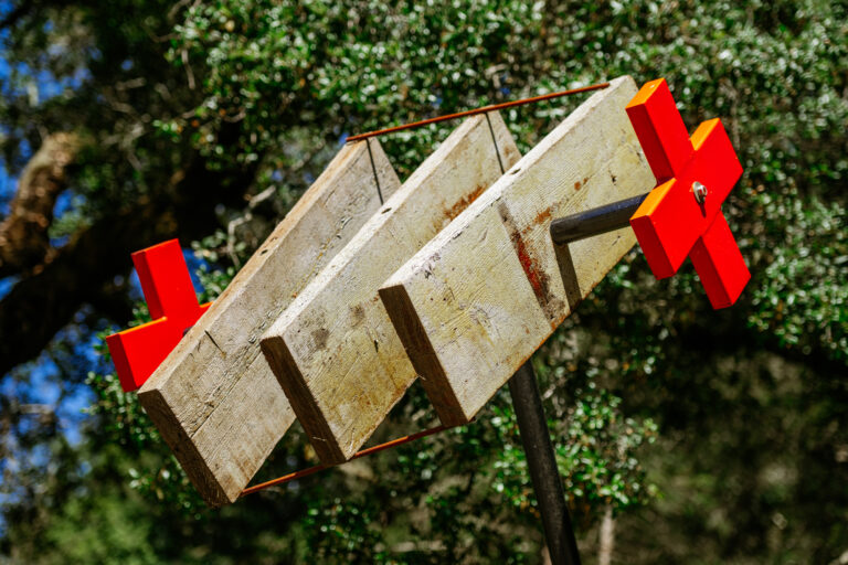 Rooster