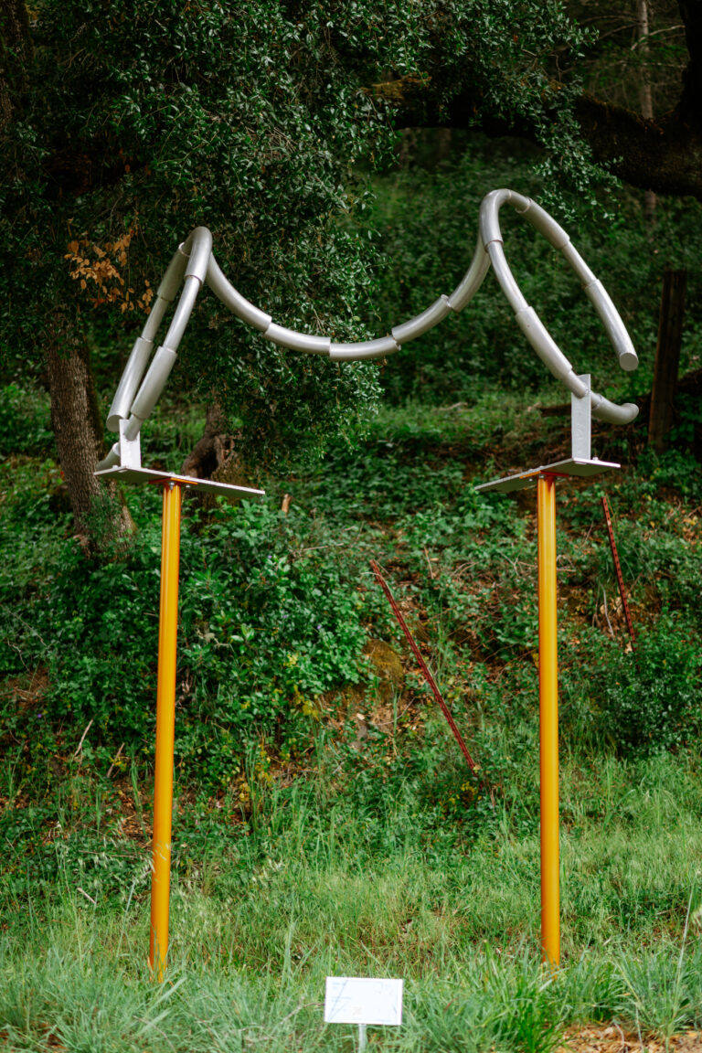 SilverArc