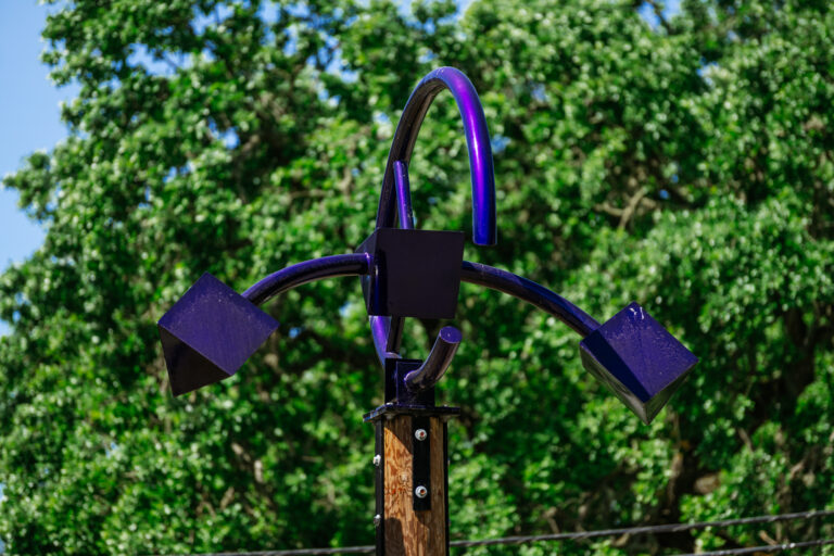 ToweringBlueGuardian