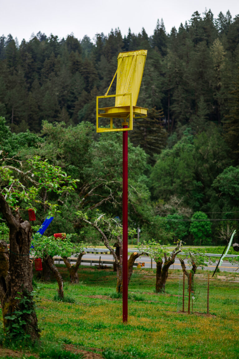 YellowCrown