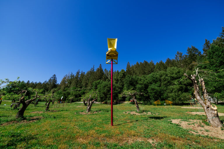 YellowCrown