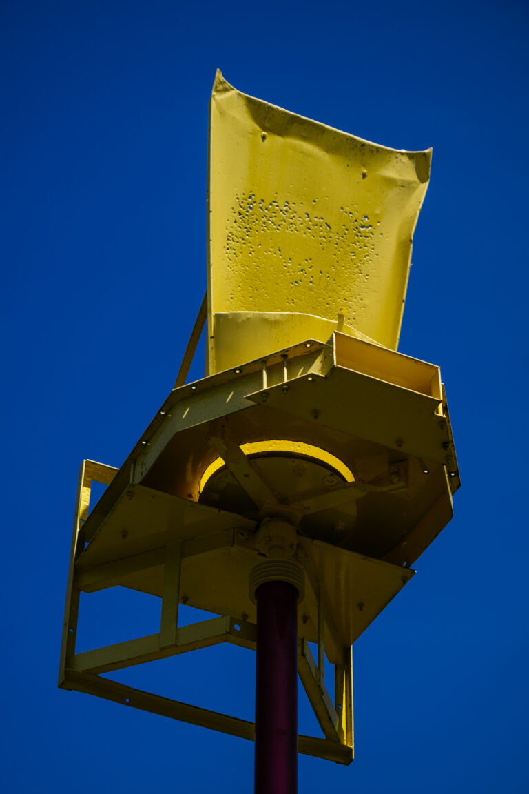 YellowCrown