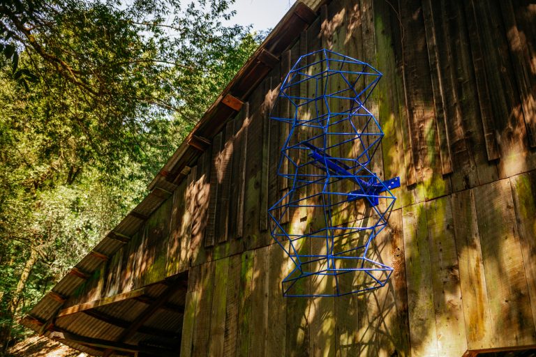 Copy of BlueBarnstomerWEB-Z8C_3112