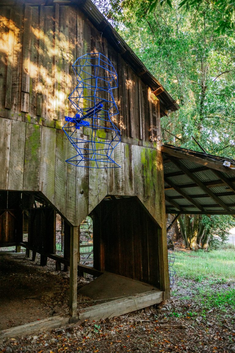 Copy of BlueBarnstomerWEB-Z8C_3490